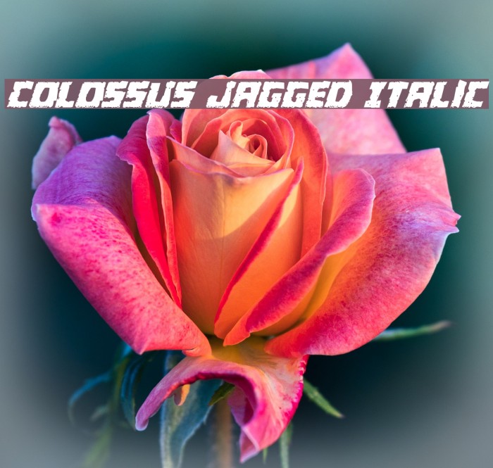 Colossus Jagged Italic Font examples