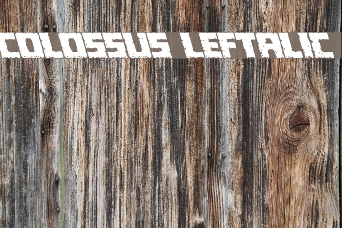 Colossus Leftalic Font examples