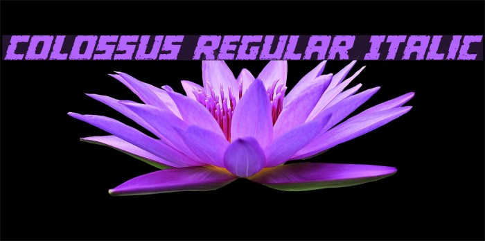 Colossus Regular Italic Example 1