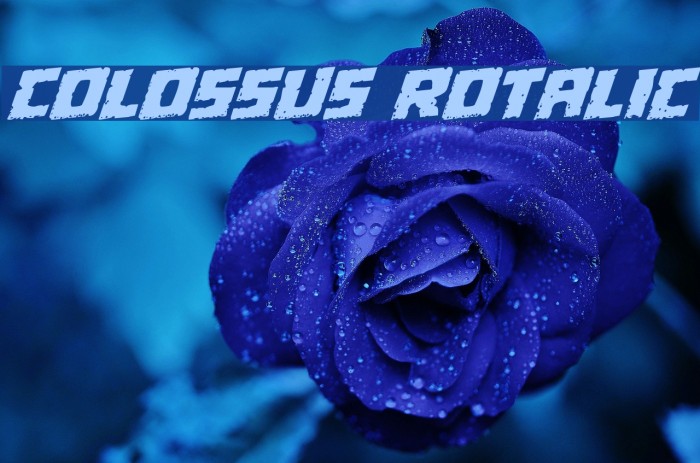 Colossus Rotalic Font examples