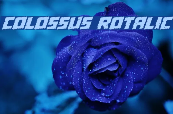 Colossus Rotalic Example 2