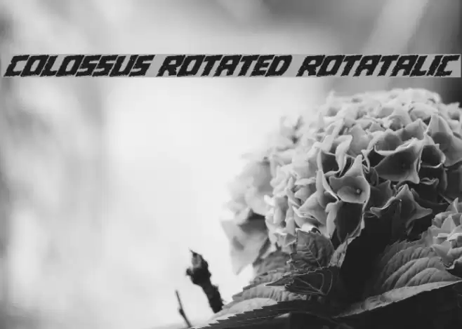 Colossus Rotated Rotatalic Font examples