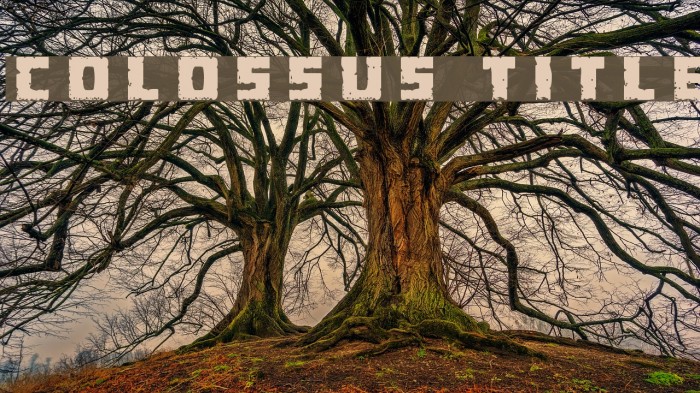 Colossus Title Font examples