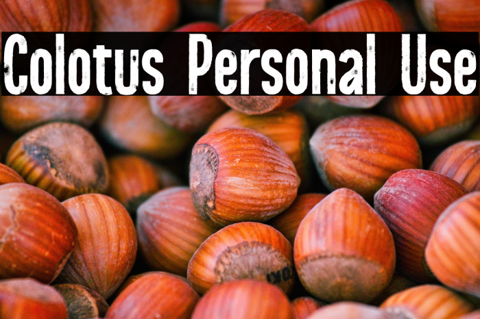 Colotus Personal Use Example 2