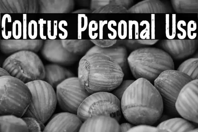 Colotus Personal Use Font examples