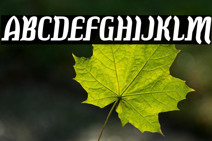 Colourbars-Bold Example 2