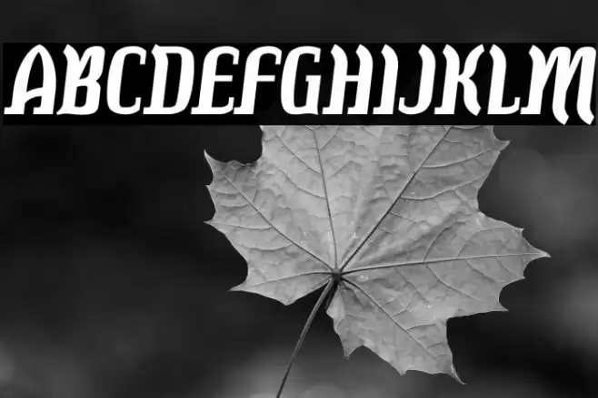 Colourbars-Bold Font examples