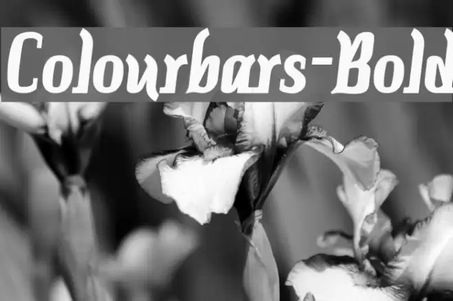 Colourbars-Bold خط examples