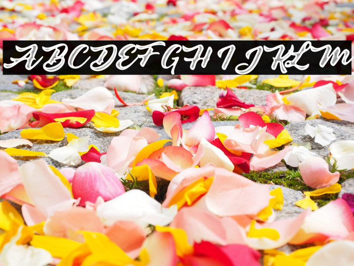 Colours Personal Use Regular Example 1