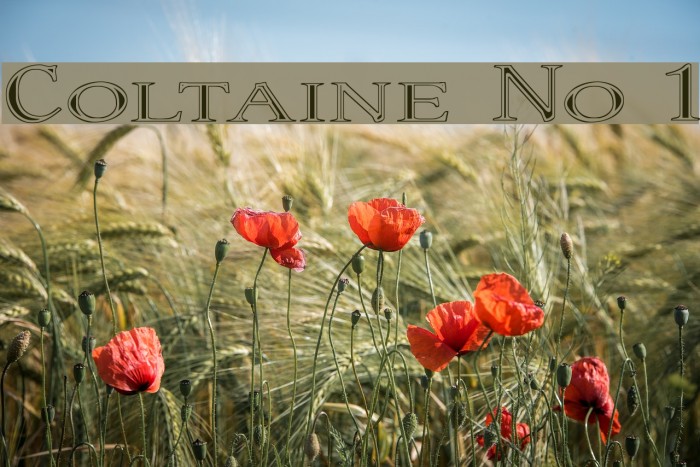 Coltaine No 1 Font examples