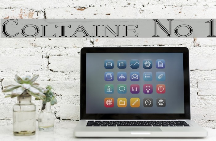 Coltaine No 1 Font examples