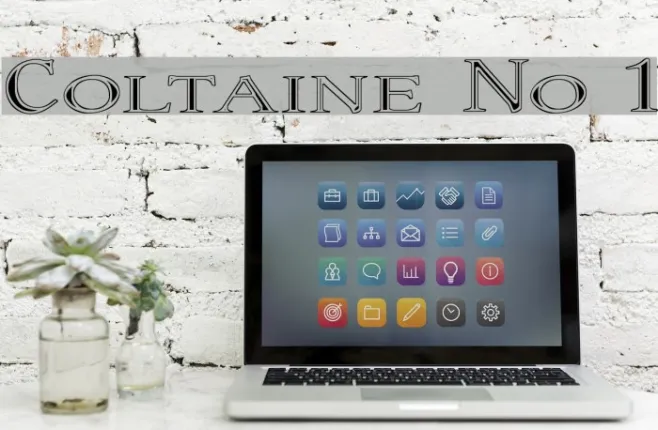 Coltaine No 1 Example 2