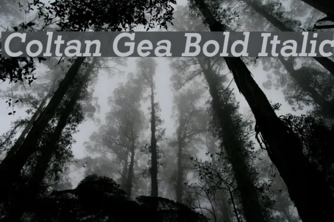 Coltan Gea Bold Italic Example 3