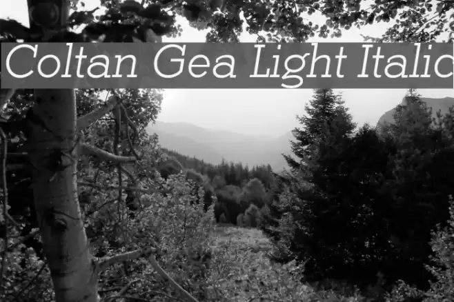 Coltan Gea Light Italic Font examples