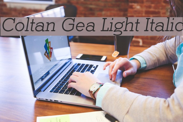 Coltan Gea Light Italic Example 2