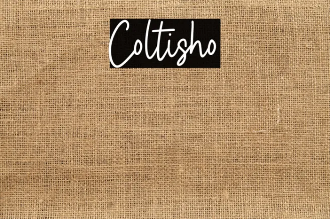 Coltisho Example 3
