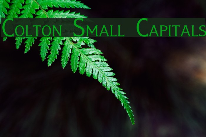Colton Small Capitals Font examples