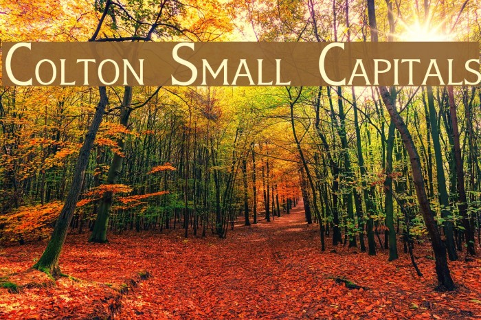 Colton Small Capitals Font examples
