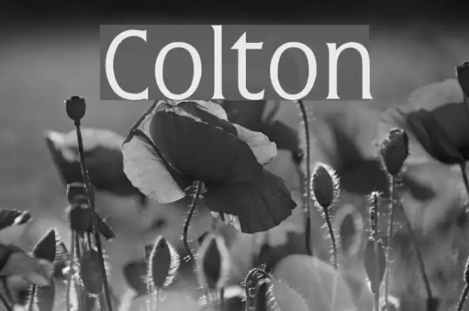 Colton Font examples