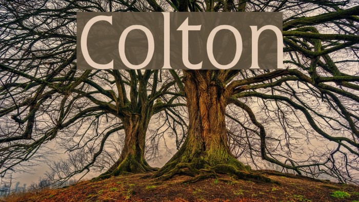 Colton Font examples