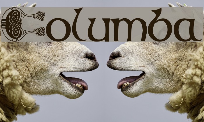 Columba Font examples