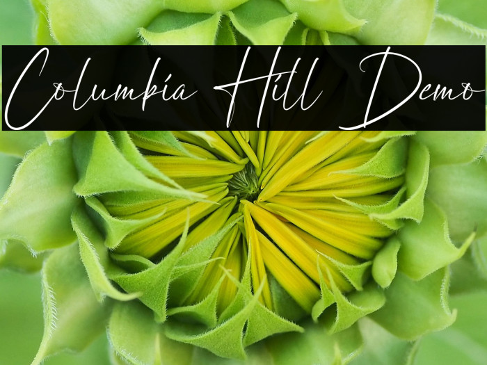 Columbia Hill Demo Example 1