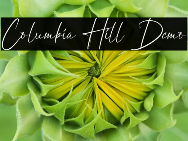 Columbia Hill Demo Example 1