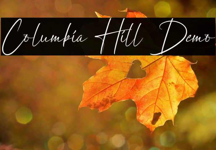 Columbia Hill Demo Example 2