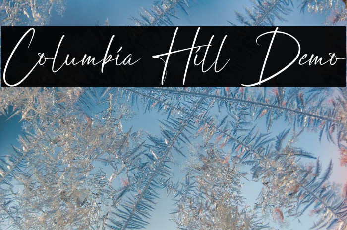 Columbia Hill Demo Example 3