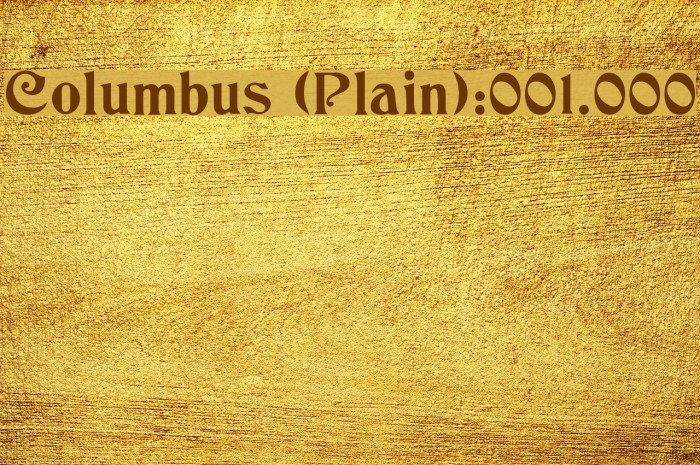 Columbus [Plain]:001.000 Example 2