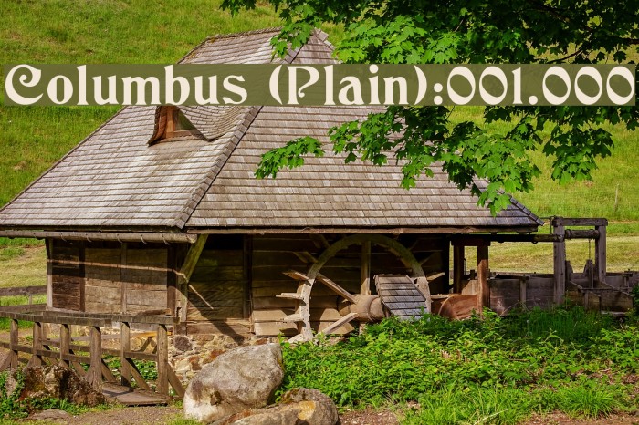 Columbus [Plain]:001.000 Example 3