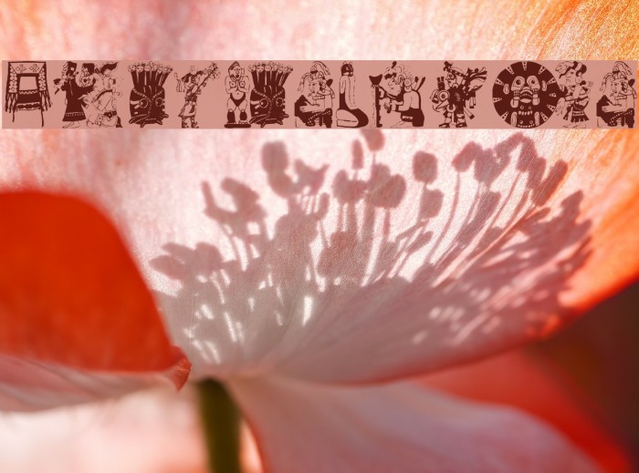 ColumbusTraces Example 2