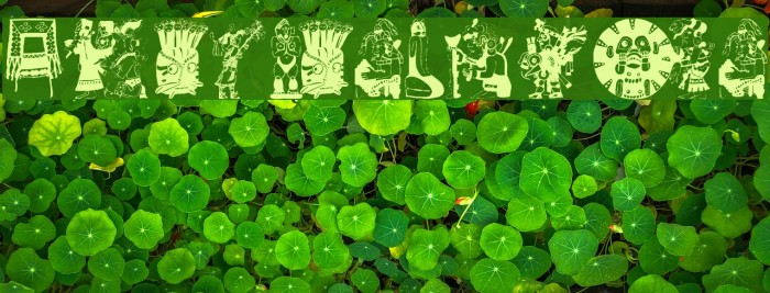 ColumbusTraces Example 3