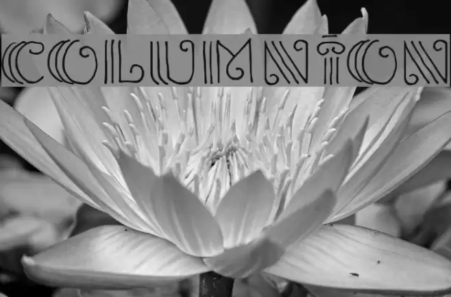 Columnion Font examples