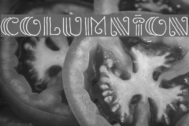 Columnion Font examples