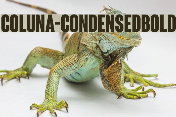Coluna-CondensedBold Font examples