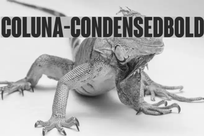 Coluna-CondensedBold फ़ॉन्ट examples