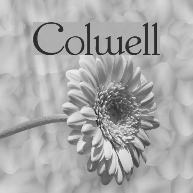 Colwell Font examples