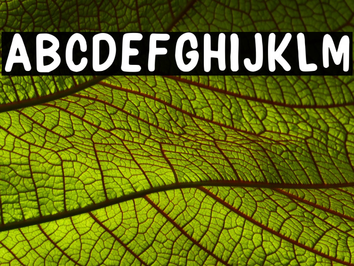 Com_com Regular Font examples