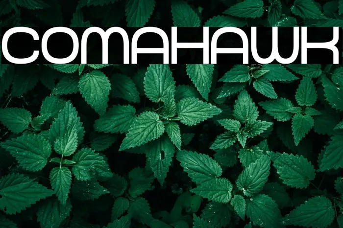 Comahawk Example 1