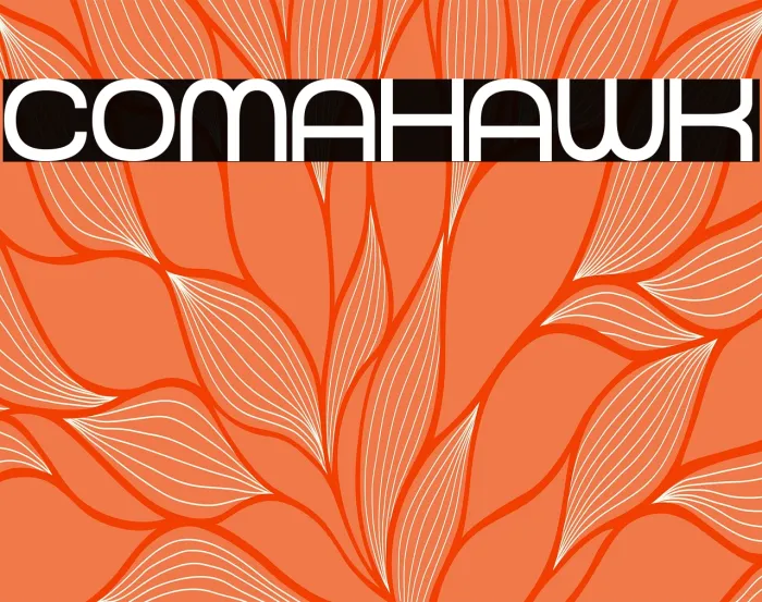 Comahawk Example 2