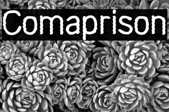 Comaprison Font examples