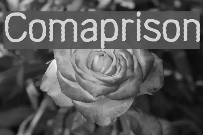 Comaprison Font examples