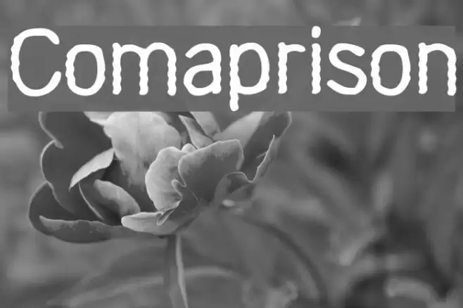 Comaprison Font examples