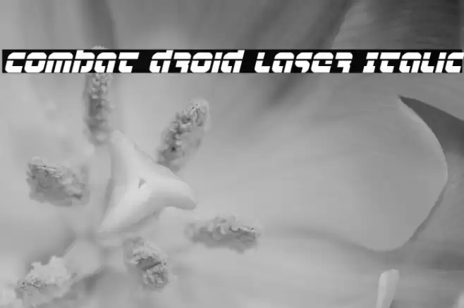 Combat Droid Laser Italic Font examples