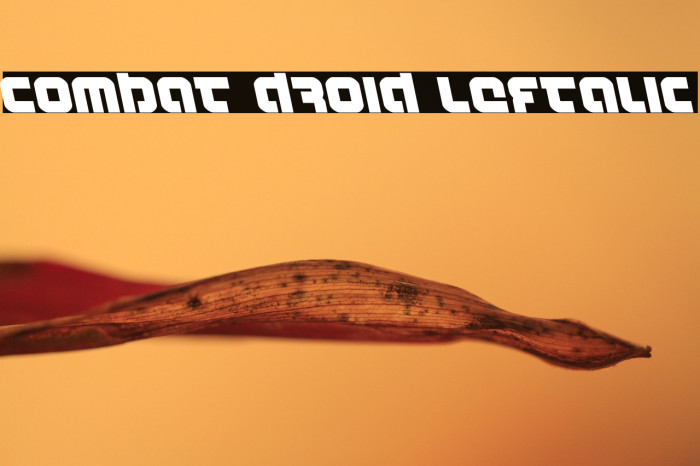 Combat Droid Leftalic Example 1