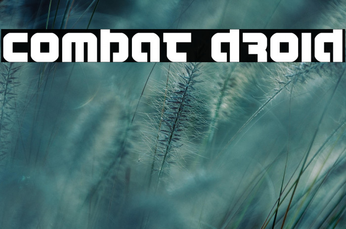 Combat Droid Example 2