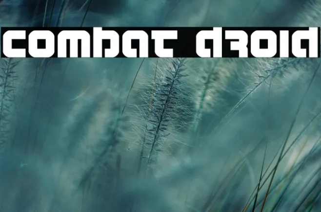 Combat Droid Example 2