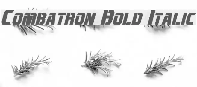 Combatron Bold Italic Font examples