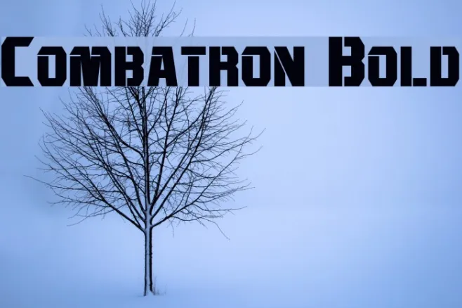 Combatron Bold Example 3